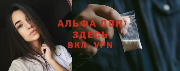 стаф Абинск