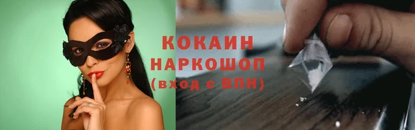 стаф Абинск